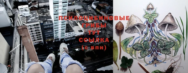 первитин Алексеевка