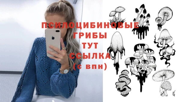 герыч Алзамай